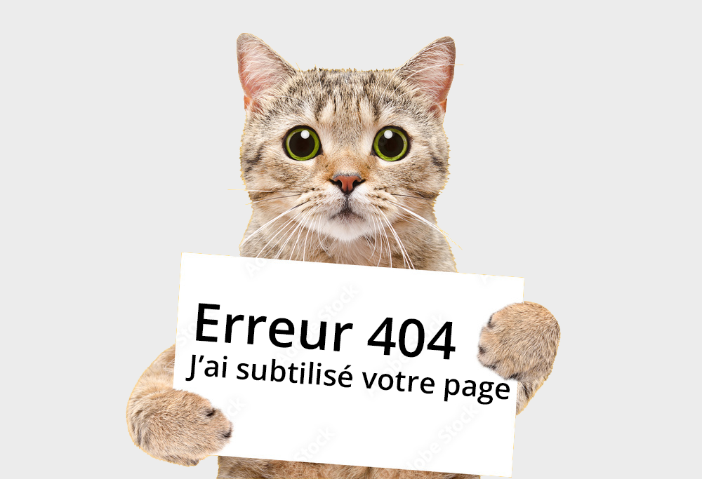 Erreur 404 : Un chat a subtilisé votre page
